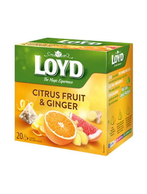 4122 Loyd Tea Tea Citrus Fruit Ginger 10x20x2g - 15