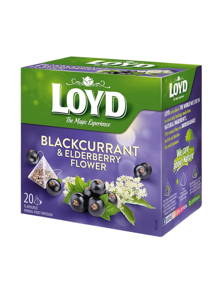 4204 Loyd Tea Blackcurrant Elderberry Flower 10x20x2g - 15